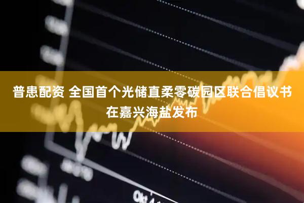 普患配资 全国首个光储直柔零碳园区联合倡议书在嘉兴海盐发布
