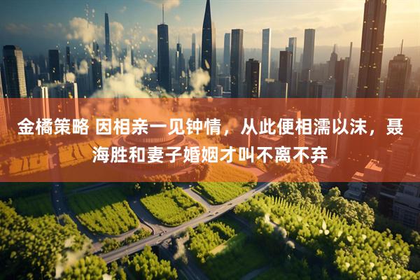 金橘策略 因相亲一见钟情，从此便相濡以沫，聂海胜和妻子婚姻才叫不离不弃