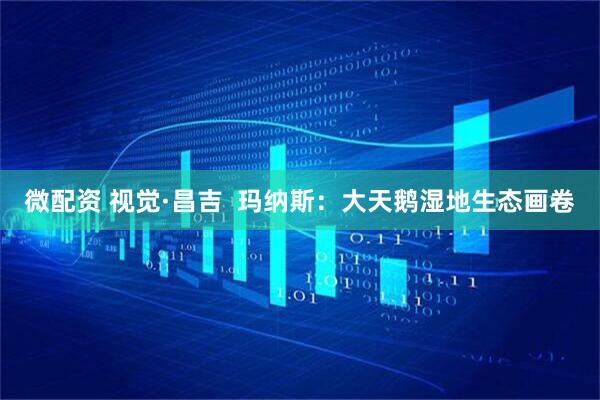 微配资 视觉·昌吉  玛纳斯：大天鹅湿地生态画卷