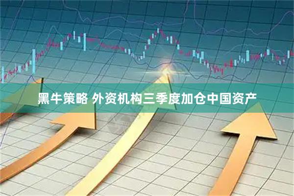 黑牛策略 外资机构三季度加仓中国资产