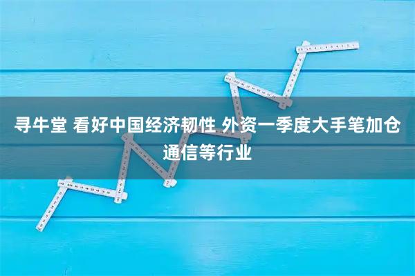 寻牛堂 看好中国经济韧性 外资一季度大手笔加仓通信等行业